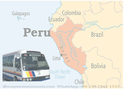 के बारे में नवीनतम कंपनी का मामला कहानी: लीमा में एक कार मरम्मत केंद्र से बिक्री समीक्षा के बाद शून्य से 100 तक